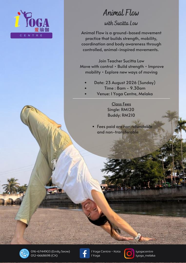 Animal Flow with Sucitta Low